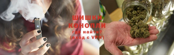 индика Красноперекопск