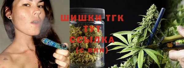 индика Красноперекопск