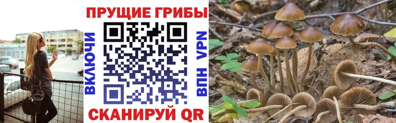 купить   Цивильск  Галлюциногенные грибы мухоморы 